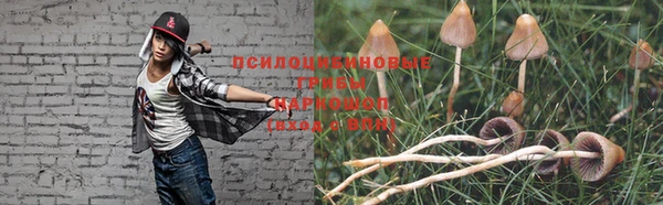 ПСИЛОЦИБИНОВЫЕ ГРИБЫ Абдулино