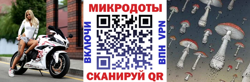 Галлюциногенные грибы прущие грибы  Кинешма 