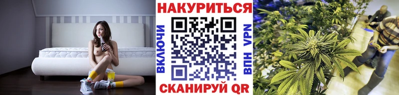 Канабис планчик  Кинешма 